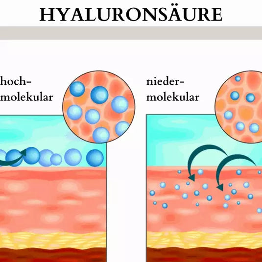 Grafik Hyaluronsäure multimilekulare Inhalte Wirkung Haut