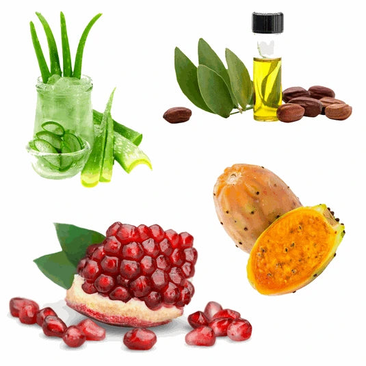 Antioxidantien